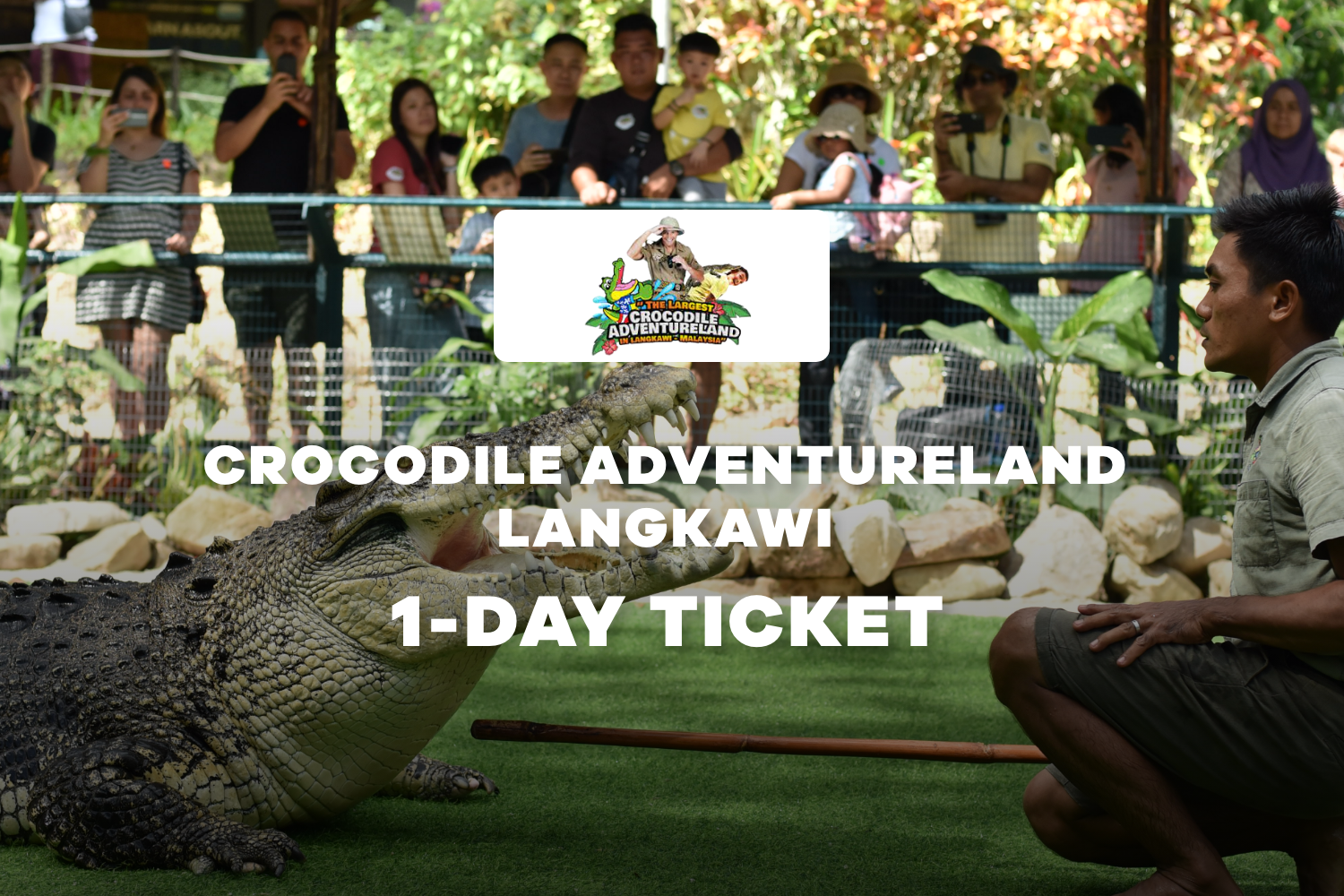 crocodile adventureland